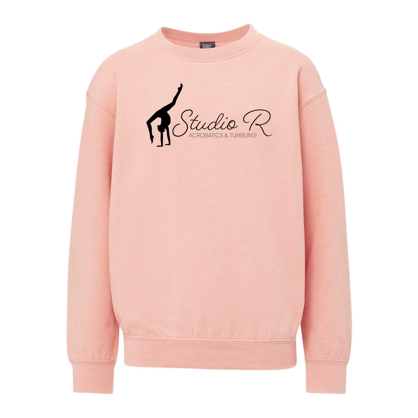 Youth Studio R on MV Sport crewneck